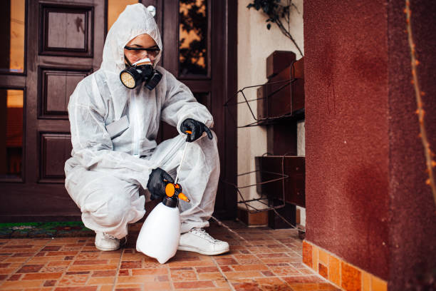 Reliable Ant Control contractor in Grandy, NC by Show Me Pest Control